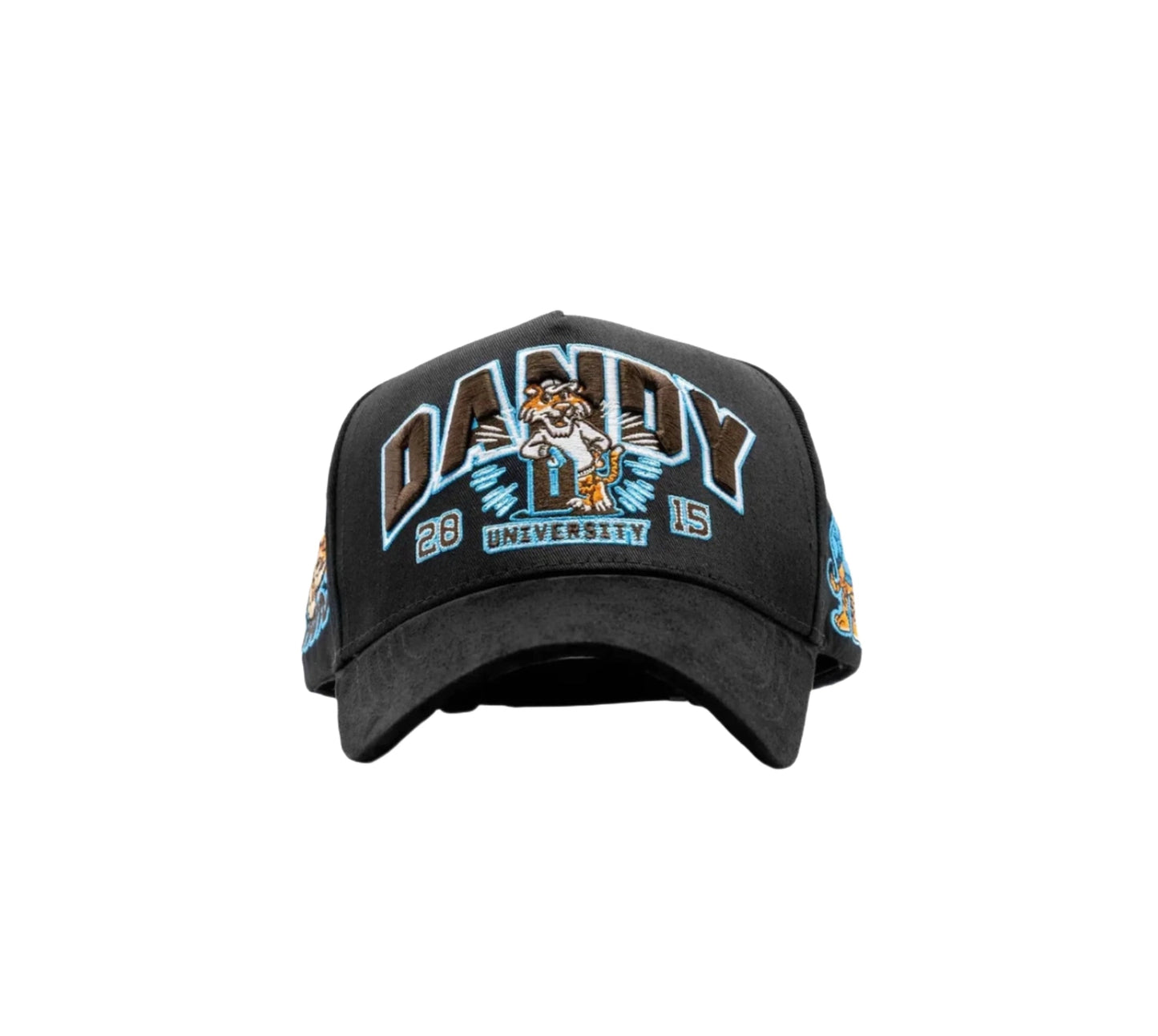 DANDY UNIVERSITY - DH