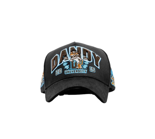 DANDY UNIVERSITY - DH